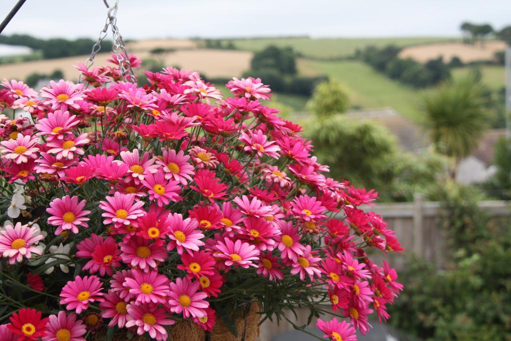 Linton Luxury Holiday Home Mevagissey Eksteriør billede