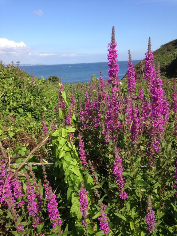 Linton Luxury Holiday Home Mevagissey Eksteriør billede